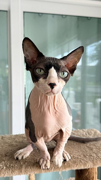 george-close.jpg